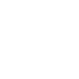 globe icon